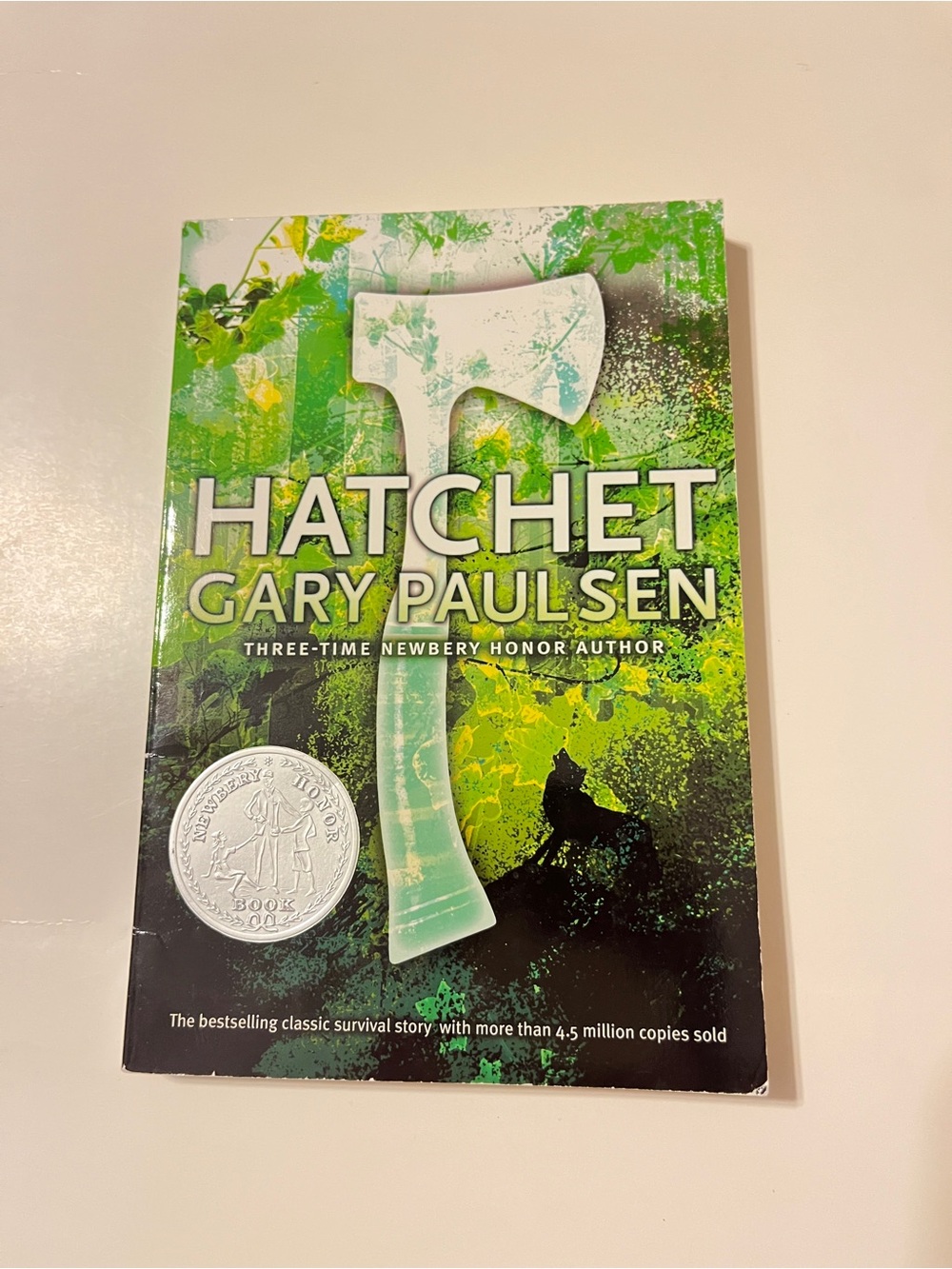 Hatchet Gary Paulsen Paperback Book Aladdin Edition 2006 Survival Novel